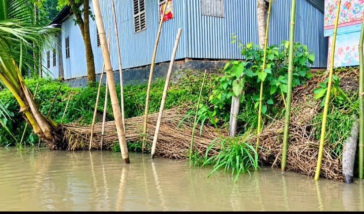 বালিয়াকান্দিতে গড়াইয়ের ভাঙন, ঝুঁকিতে নদীপাড়ের ঘরবাড়ী দ্রুত পদক্ষেপের দাবি এলাকাবাসীর